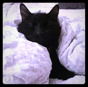 Meet your Posher, Serenity